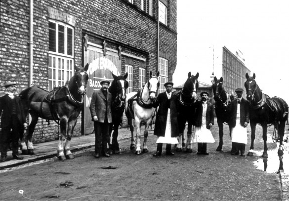 Clementhorpe - Terry Av Coop Stables 2