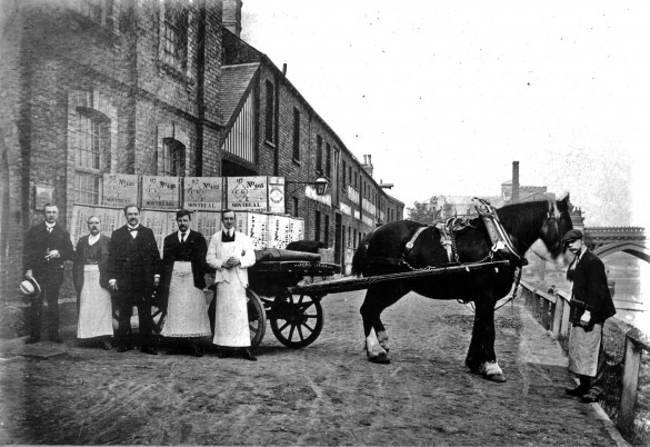 Clementhorpe - Terry Av Coop Stables 1