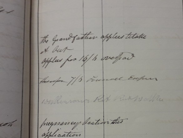 BLOG - Grandfather applies to take Eliza
