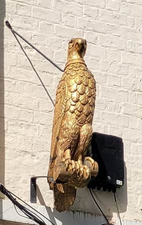 Falcon