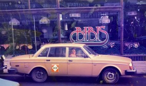 Bibis