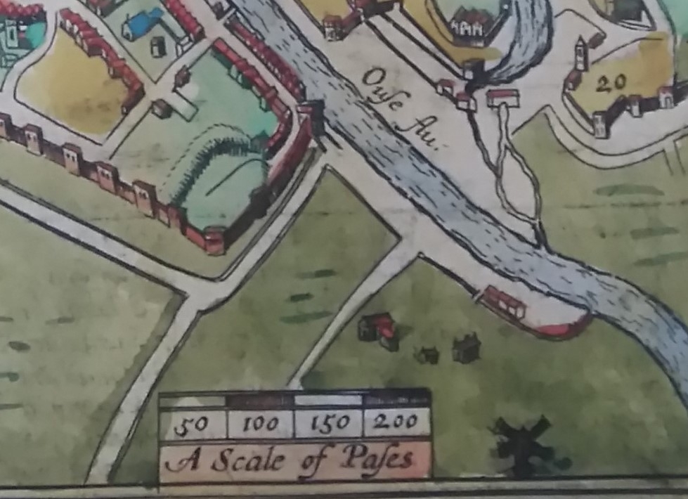 Plate 6